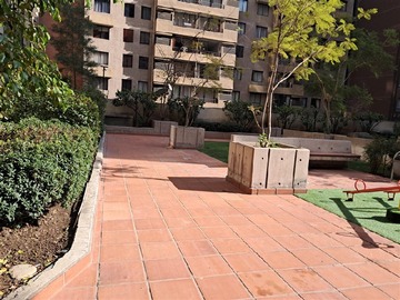 Imagen 13