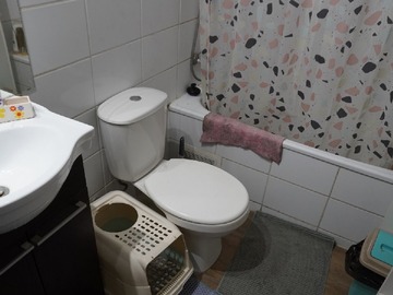Imagen 7