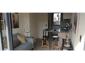 Venta / Departamento / Santiago