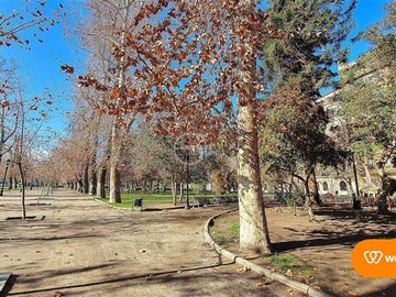 Imagen 14