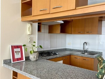 Venta / Departamento / Santiago
