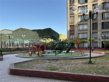 Imagen 15
