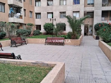 Imagen 13