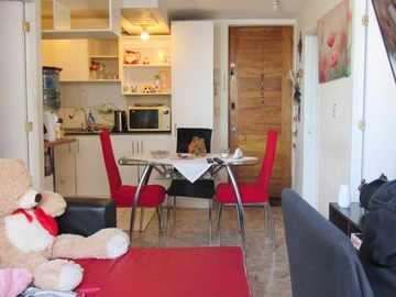 Venta / Departamento / Santiago