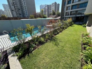 Imagen 11