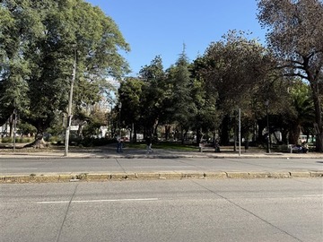 Imagen 13