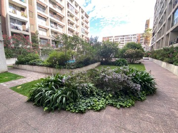 Imagen 19
