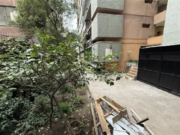 Imagen 8