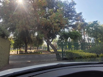 Imagen 9