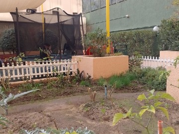 Imagen 23