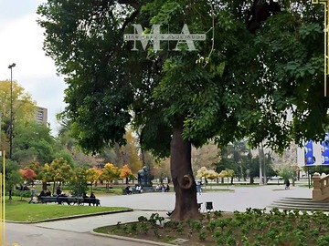 Imagen 20