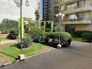 Imagen 12