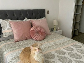 Venta / Departamento / Santiago