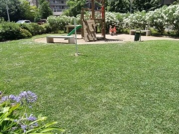 Imagen 23