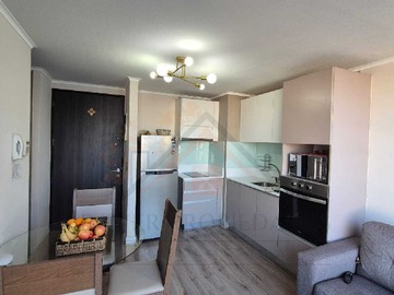 Venta / Departamento / Santiago