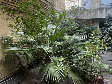 Venta / Departamento / Santiago