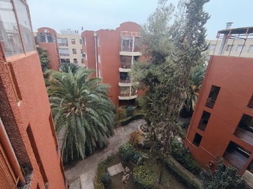 Imagen 9