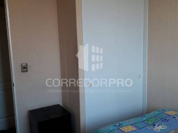 Imagen 12