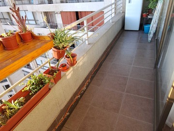 Imagen 8