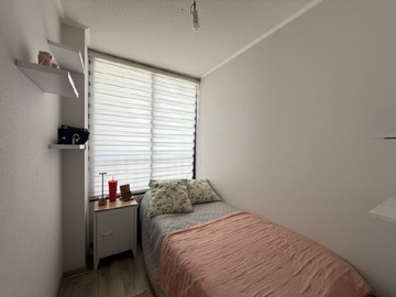 Imagen 11