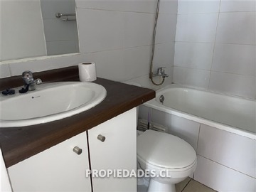 Imagen 12