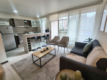 Venta / Departamento / Santiago