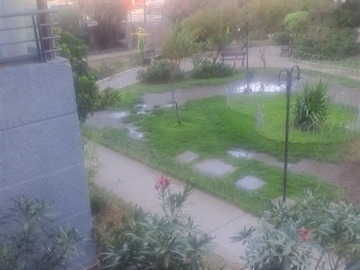 Imagen 17
