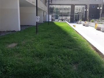 Imagen 8