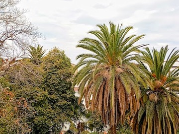 Imagen 24