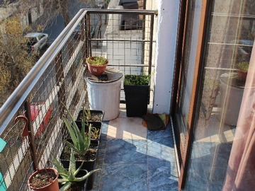 Imagen 22