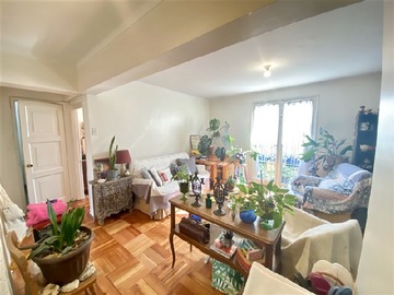 Imagen 5