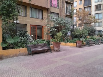 Imagen 14