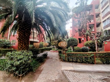 Imagen 11