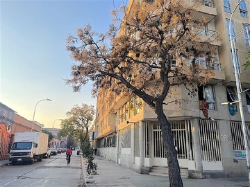 Imagen 19