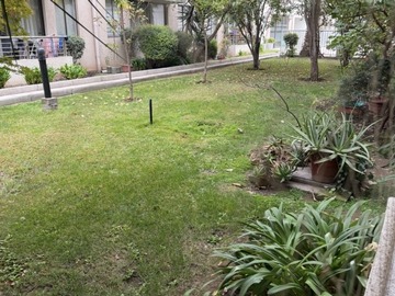 Imagen 5