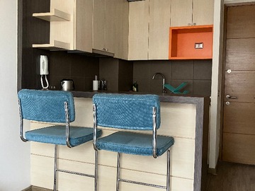 Venta / Departamento / Santiago