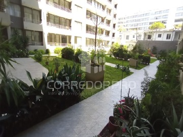 Imagen 8