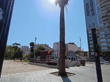 Imagen 8