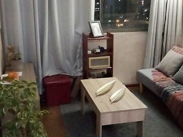 Venta / Departamento / Santiago