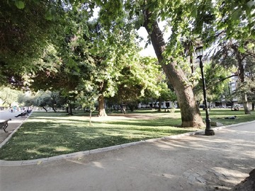 Imagen 11
