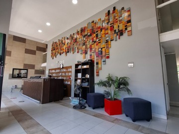 Imagen 10