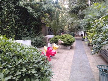 Imagen 21