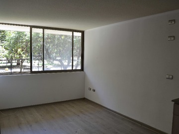 Imagen 10