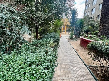 Imagen 12
