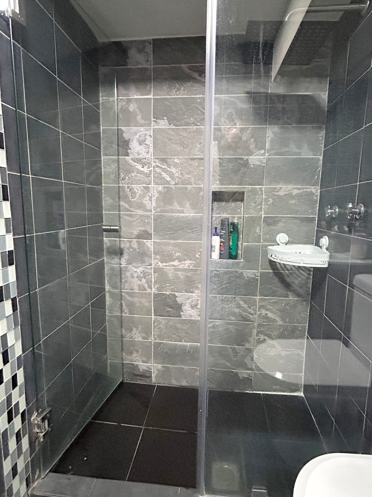 Shower door