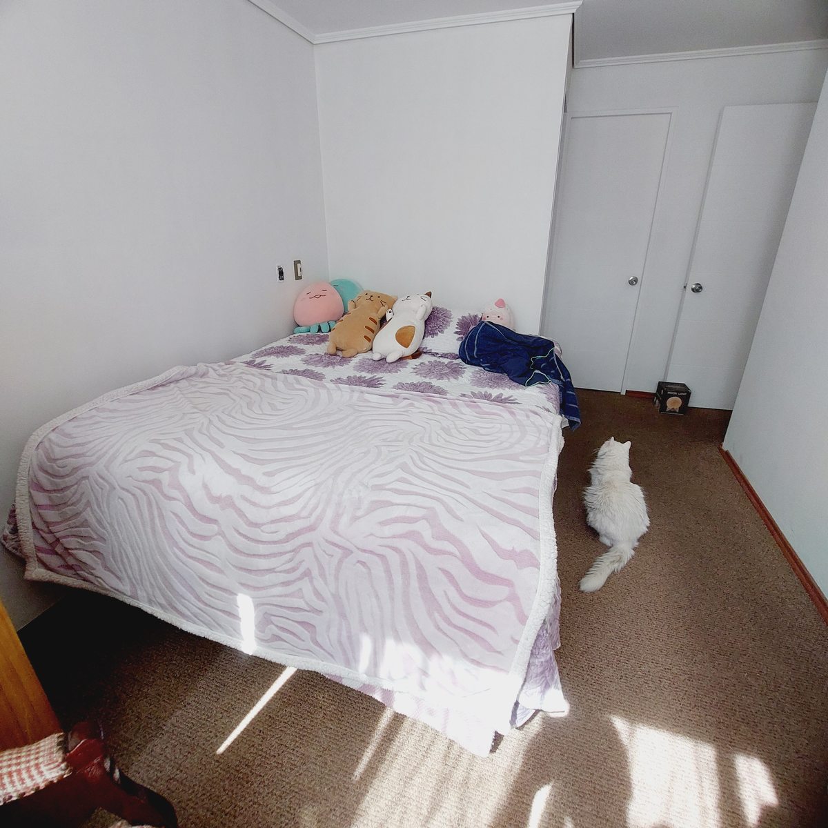 Dorm 2