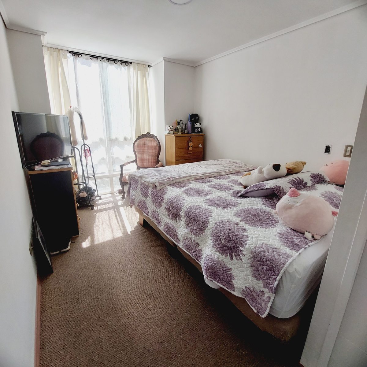 Dormitorio Princip