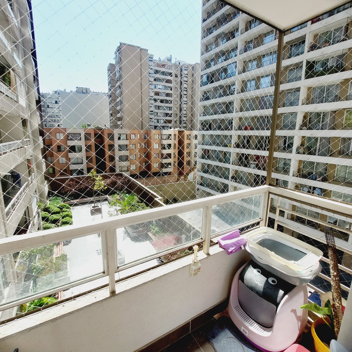 Terraza