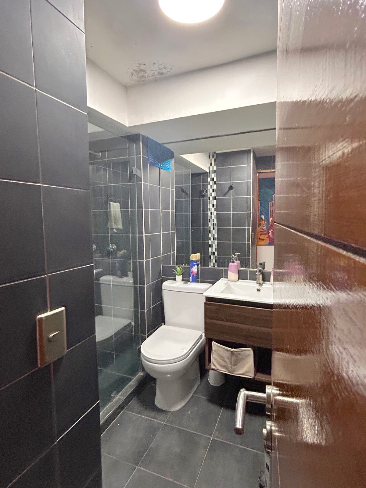 Baño visitas