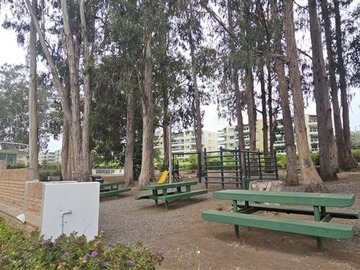 Imagen 33